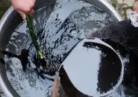 丹油融合